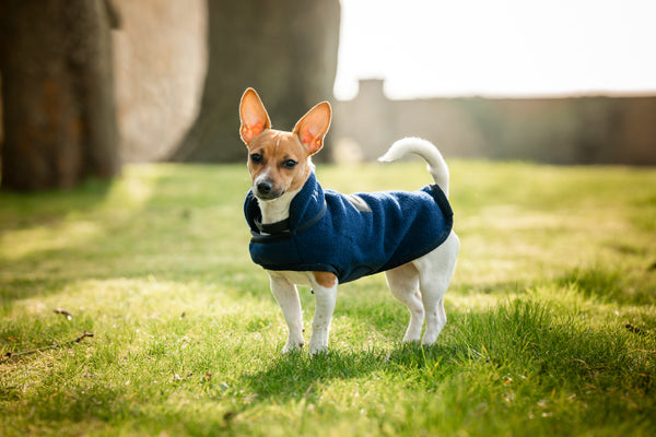 Horseware Signature Dog Fleece